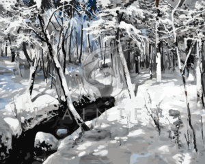 Malowanie po numerach Malowanie po numerach «Andrei Schilder. Strumień w lesie» фото