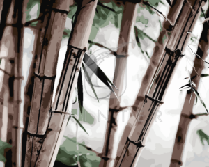 Malowanie po numerach Malowanie po numerach «Bambusowy gąszcz» фото