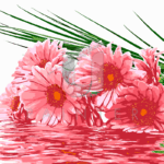 Malowanie po numerach «Bukiet gerber. Odzwierciedlenie»