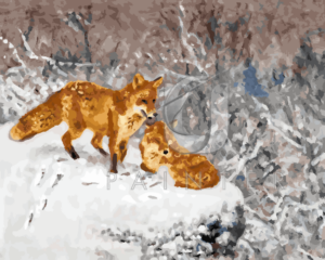 Malowanie po numerach Malowanie po numerach «Bruno Liljefors. Para lisów na tle zimowego krajobrazu»