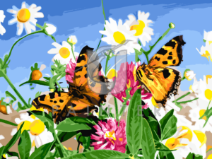 Malowanie po numerach Malowanie po numerach «Motyle na rumiankach» фото