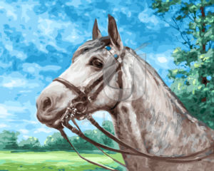 Malowanie po numerach Malowanie po numerach «Carl Kahler. Biały koń»
