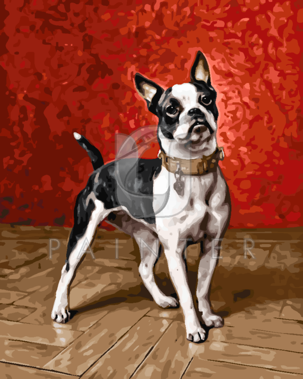 Malowanie po numerach Malowanie po numerach «Karl Reichert. Boston terrier»