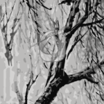 Malowanie po numerach «Chen Shuren. Światło księżyca /Złota seria/»