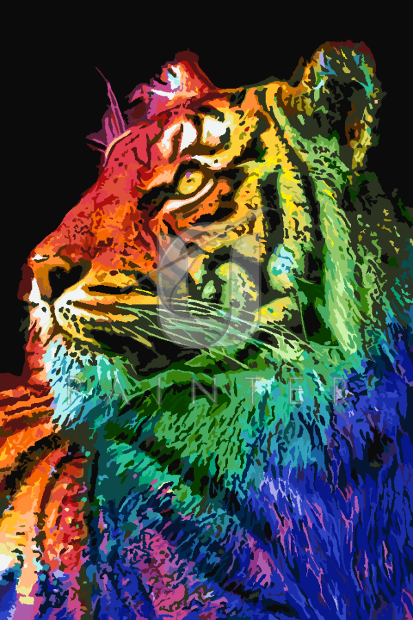 Malowanie po numerach Malowanie po numerach «Kolory tęczy. Tygrys»