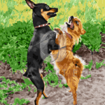 Malowanie po numerach «Psi walc»