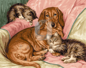 Malowanie po numerach Malowanie po numerach «Fannie Moody. Pies i dwa koty»