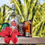 Malowanie po numerach «Pozdrowienia z Kuby»