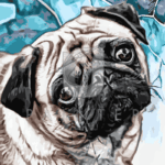 Malowanie po numerach «Spojrzenie małego mopsa»