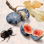 Malowanie po numerach «Giovanna Garzoni. Obraz z figami i żukiem»