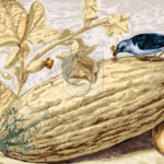 Malowanie po numerach «Giovanna Garzoni. Martwa natura z ptakiem jedzącym gąsienicę