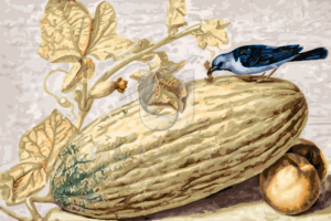 Malowanie po numerach Malowanie po numerach «Giovanna Garzoni. Martwa natura z ptakiem jedzącym gąsienicę