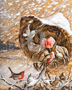 Malowanie po numerach Malowanie po numerach «Harry Bright. Ptaki ogrodowe schraniające się przed śniegiem» фото