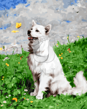 Malowanie po numerach Malowanie po numerach «Julius Adam. Biały pies na trawniku»
