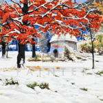 Malowanie po numerach «Konstantin Kryżyckij. Wczesny śnieg»