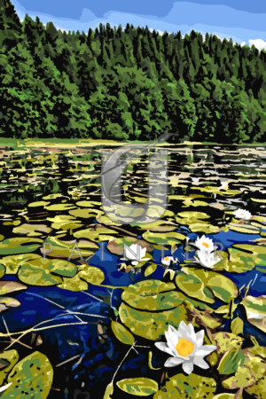 Malowanie po numerach Malowanie po numerach «Krajobraz z liliami wodnymi» фото