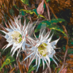 Malowanie po numerach «Laura Coombs Hills. Cereus kwitnący nocą»