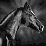 Malowanie po numerach «Szlachetny koń»