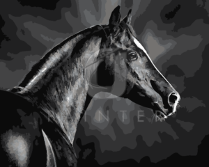 Malowanie po numerach Malowanie po numerach «Szlachetny koń» фото