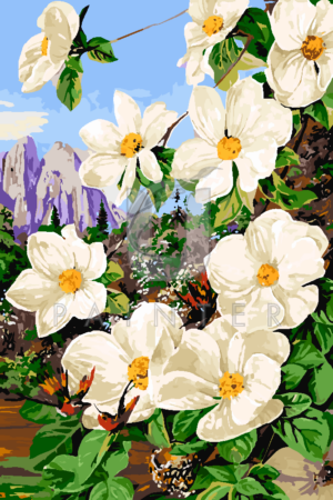 Malowanie po numerach Malowanie po numerach «Marianne North. Liście i kwiaty kalifornijskiego derenia i kolibry» фото