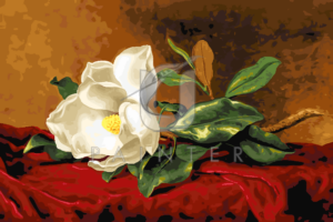 Malowanie po numerach Malowanie po numerach «Martin Johnson Heade. Magnolia na czerwonym aksamicie» фото