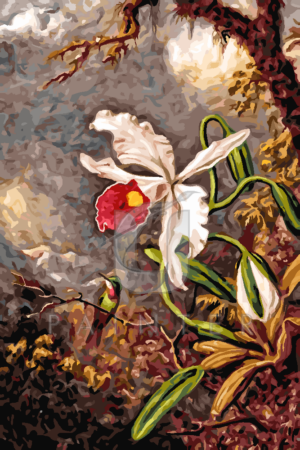 Malowanie po numerach Malowanie po numerach «Martin Johnson Heade. Biała orchidea i koliber» фото