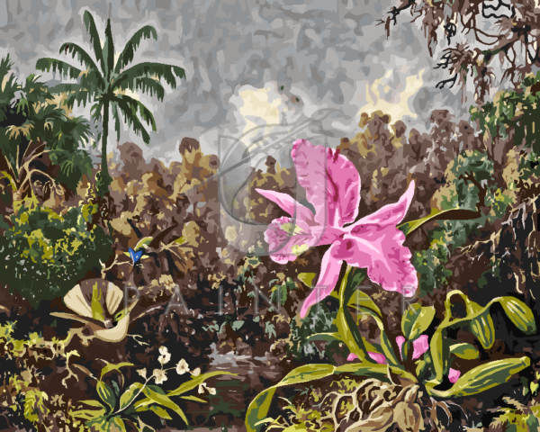 Malowanie po numerach Malowanie po numerach «Martin Johnson Heade. Orchidea i dwa kolibry»