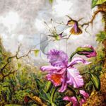 Malowanie po numerach Malowanie po numerach «Martin Johnson Heade. Dwa kolibry i różowa orchidea»