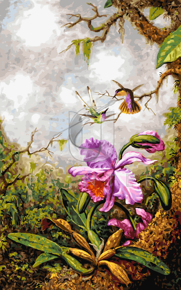 Malowanie po numerach Malowanie po numerach «Martin Johnson Heade. Dwa kolibry i różowa orchidea»