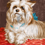 Malowanie po numerach Malowanie po numerach «Maud Earl. Yorkshire terrier»
