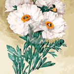 Malowanie po numerach «Paul de Longpré. Maki Matilija»