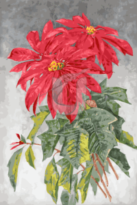 Malowanie po numerach «Paul de Longpré. Gwiazdy betlejemskie (1908)»