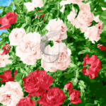 Malowanie po numerach «Pierre Garnier. Różowe róże»