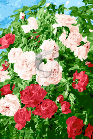 Malowanie po numerach Malowanie po numerach «Pierre Garnier. Różowe róże» фото