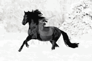 Malowanie po numerach Malowanie po numerach «Bieżący koń w zimowym lesie» фото