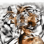 Malowanie po numerach «Pasiasta miłość»