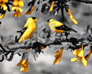 Malowanie po numerach Malowanie po numerach «Dwa żółte ptaki» фото