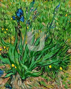 Malowanie po numerach «Vincent van Gogh. Irys»