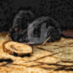 Malowanie po numerach Malowanie po numerach «Vincent van Gogh. Dwa szczury»
