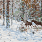 Malowanie po numerach «Władimir Murawjow. Zimowy pejzaż z łosiami»