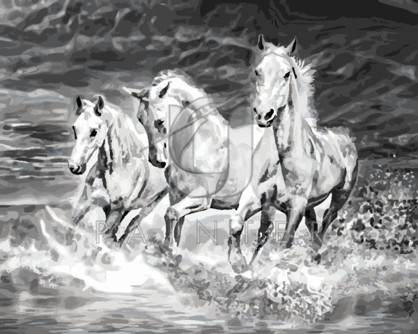 Malowanie po numerach Malowanie po numerach «Białe konie w nocy» фото