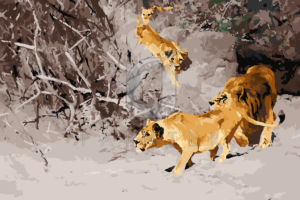 Malowanie po numerach Malowanie po numerach «Wilhelm Kuhnert. Stado lwów na polowaniu» фото